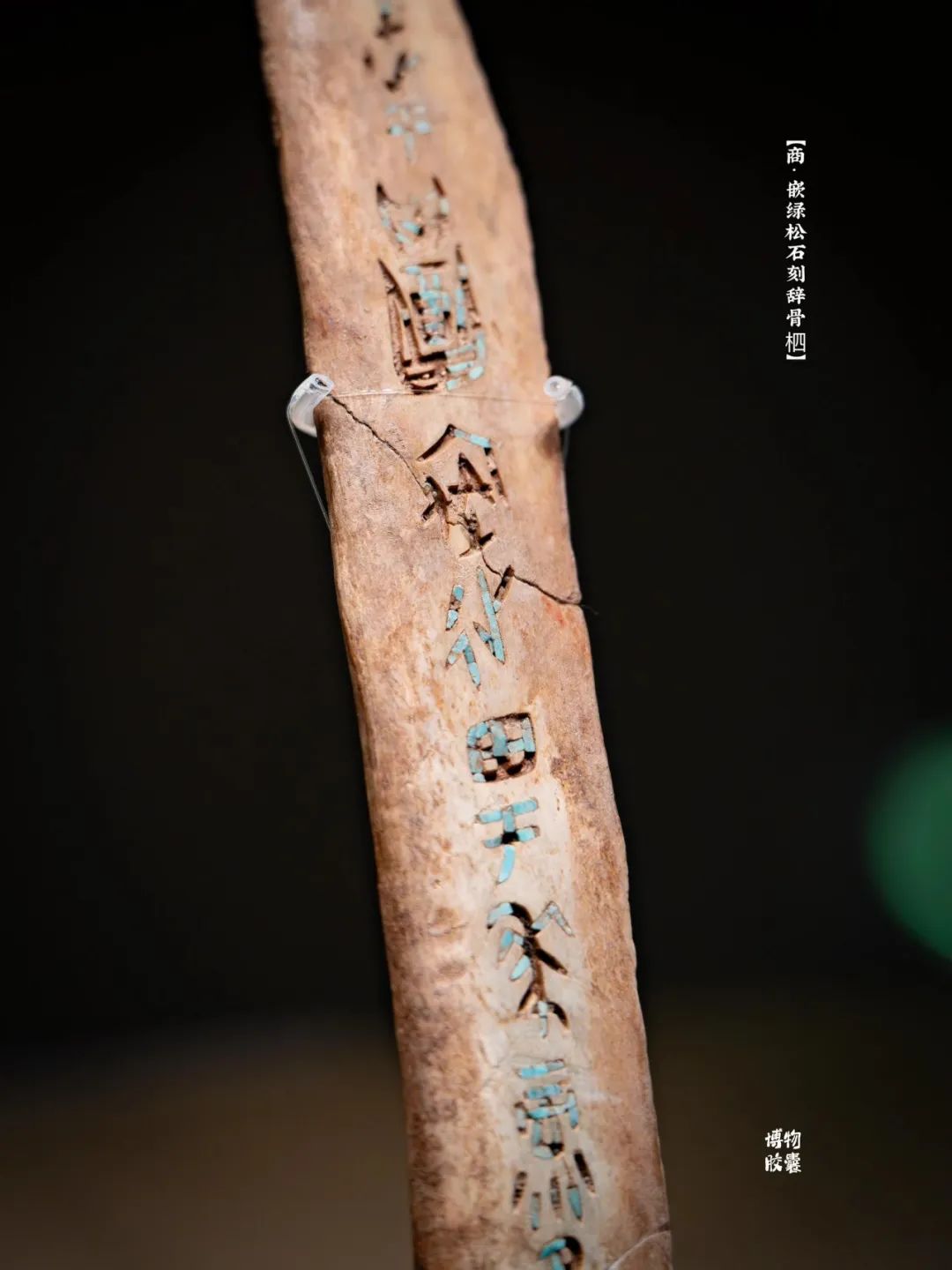 甲骨文推出全新VPS服务，助力企业云端升级